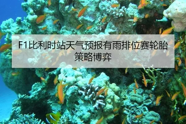 F1比利时站天气预报有雨排位赛轮胎策略博弈